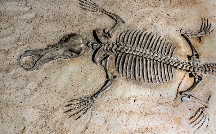 Concevoir pour l’évolutivité