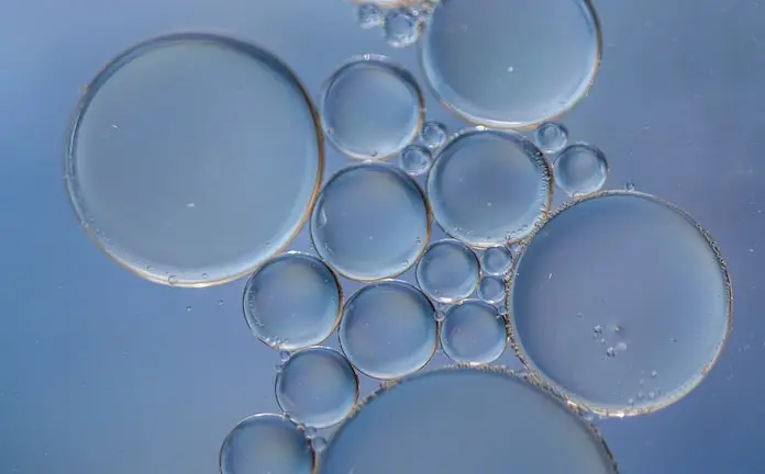 Organiser par capacité métier